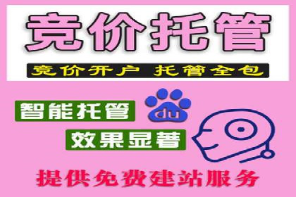 百度SEM竞价策略解析：成功案例分享